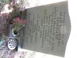 image of grave number 729557